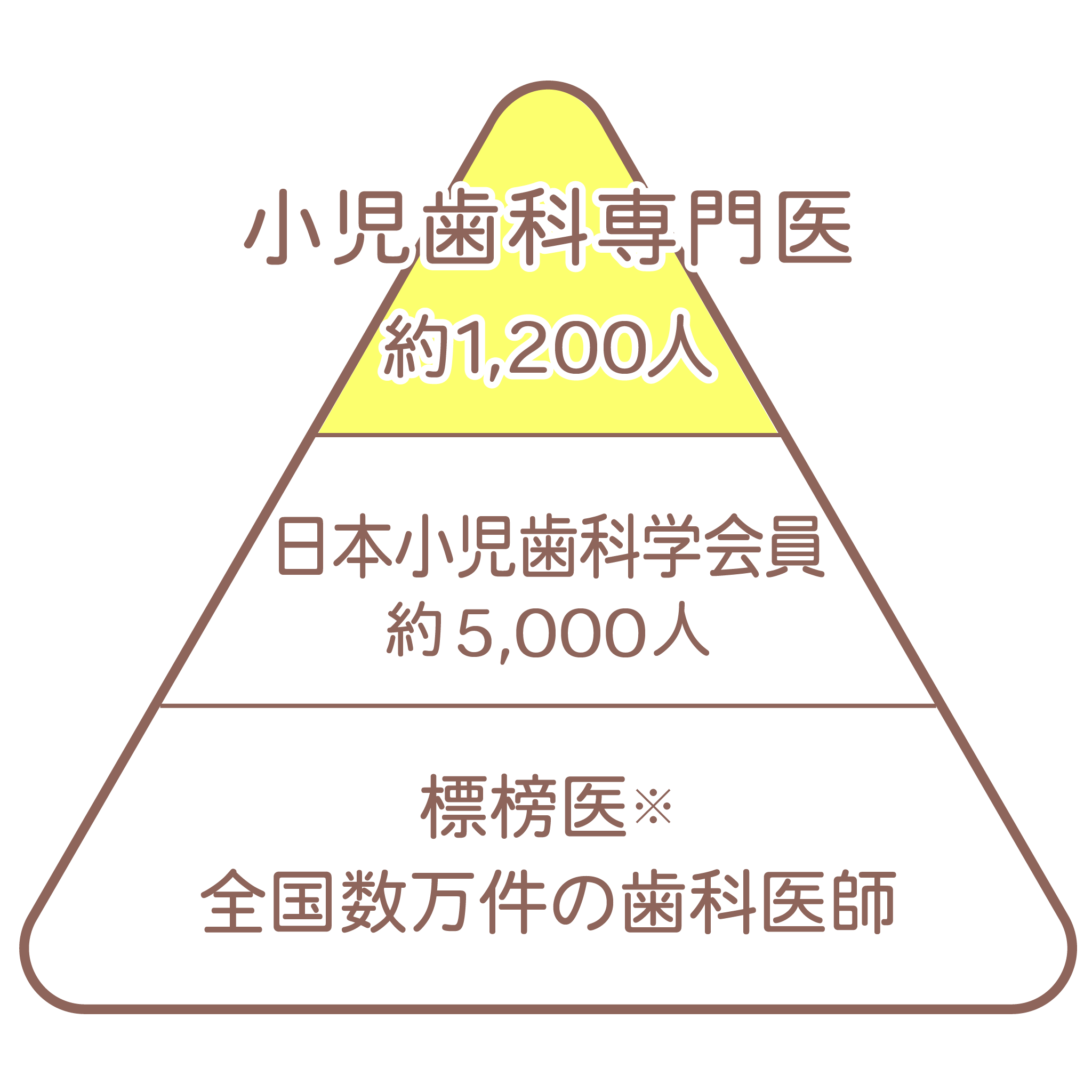 小児歯科ピラミッド